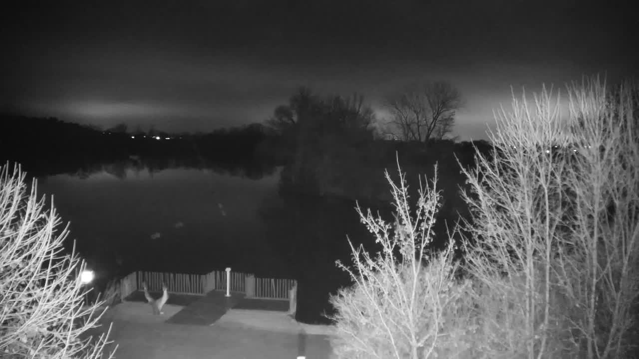 Web kamera Ribnik Vrbje – Žalec