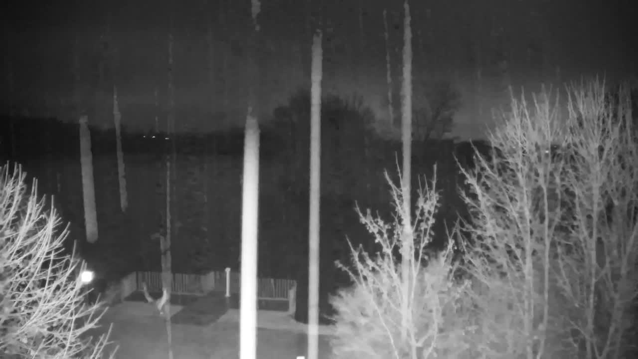 Spletna kamera Ribnik Vrbje – Žalec