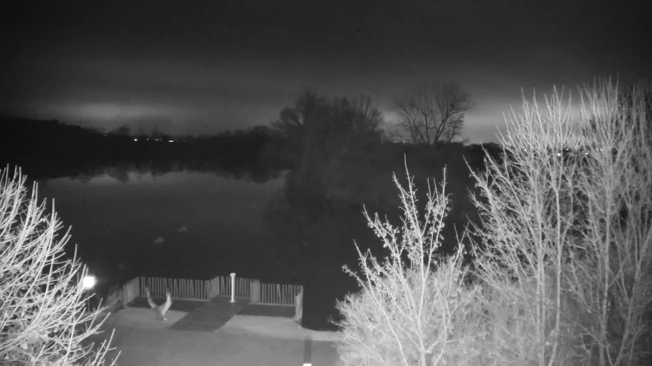 Webcam Ribnik Vrbje – Žalec