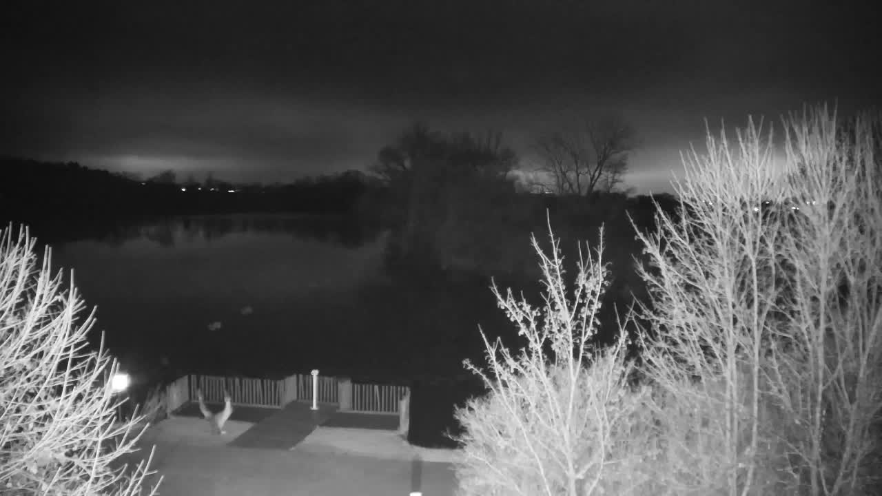 Webcam Ribnik Vrbje – Žalec