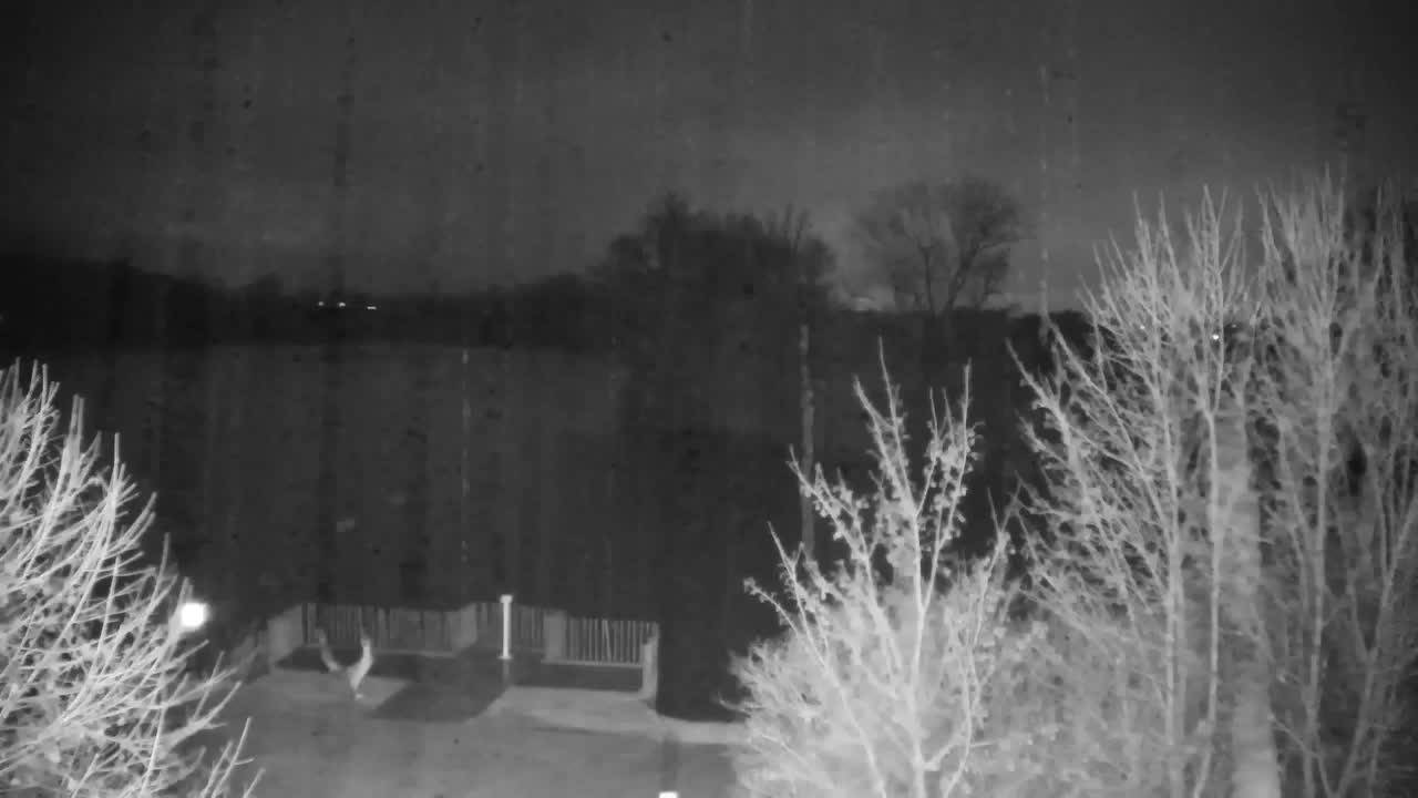 Webcam Ribnik Vrbje – Žalec