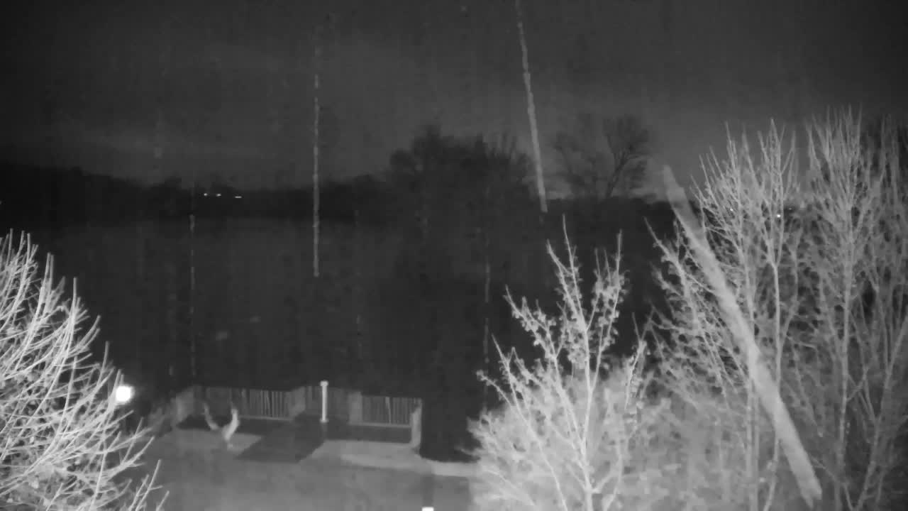 Webcam Ribnik Vrbje – Žalec