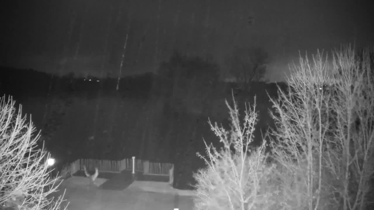 Webcam Ribnik Vrbje – Žalec