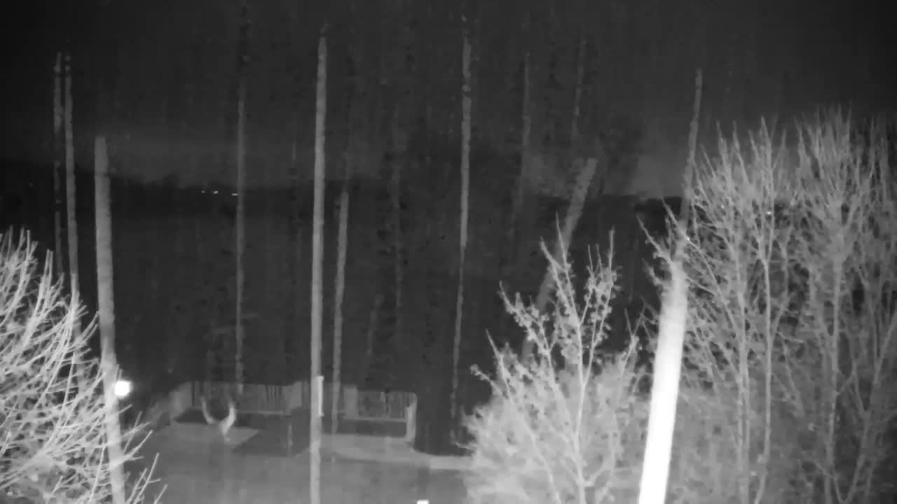 Webcam Ribnik Vrbje – Žalec