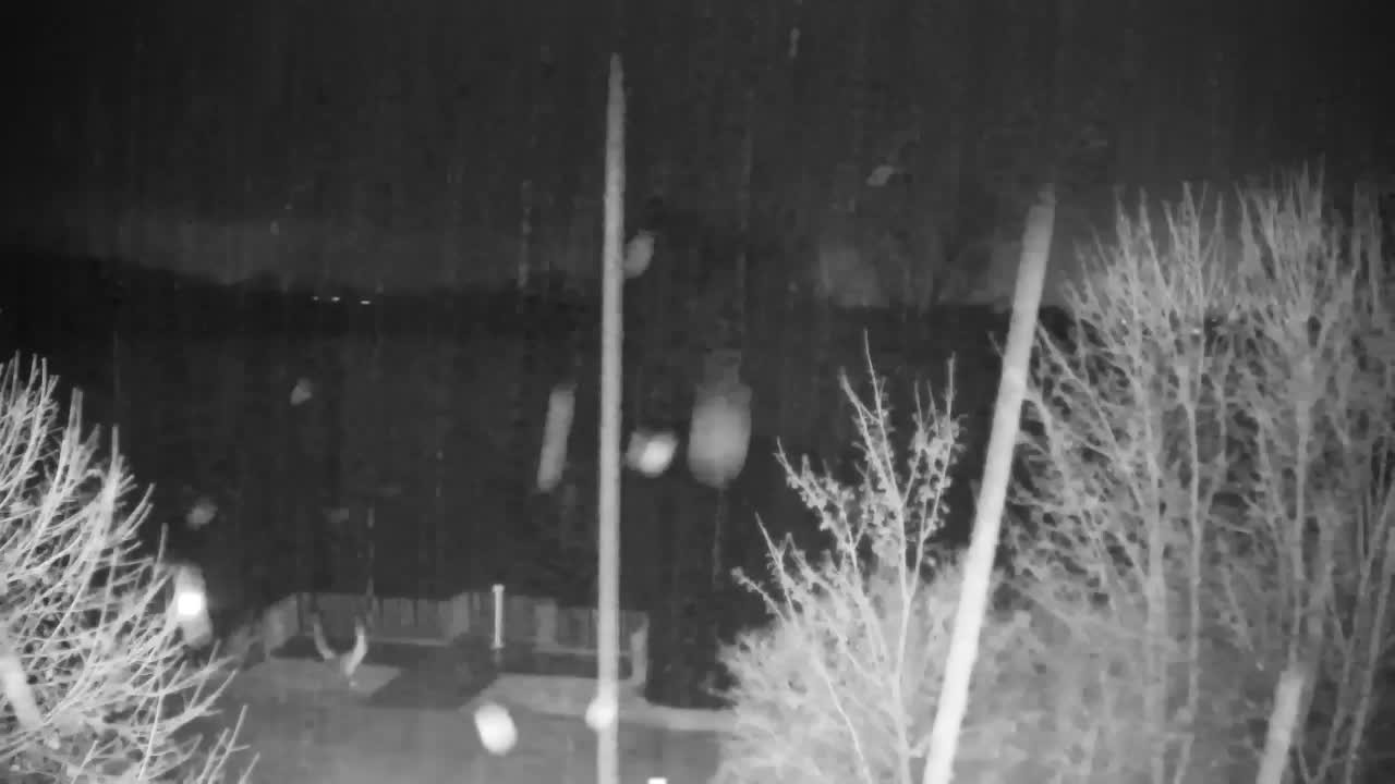 Webcam Ribnik Vrbje – Žalec