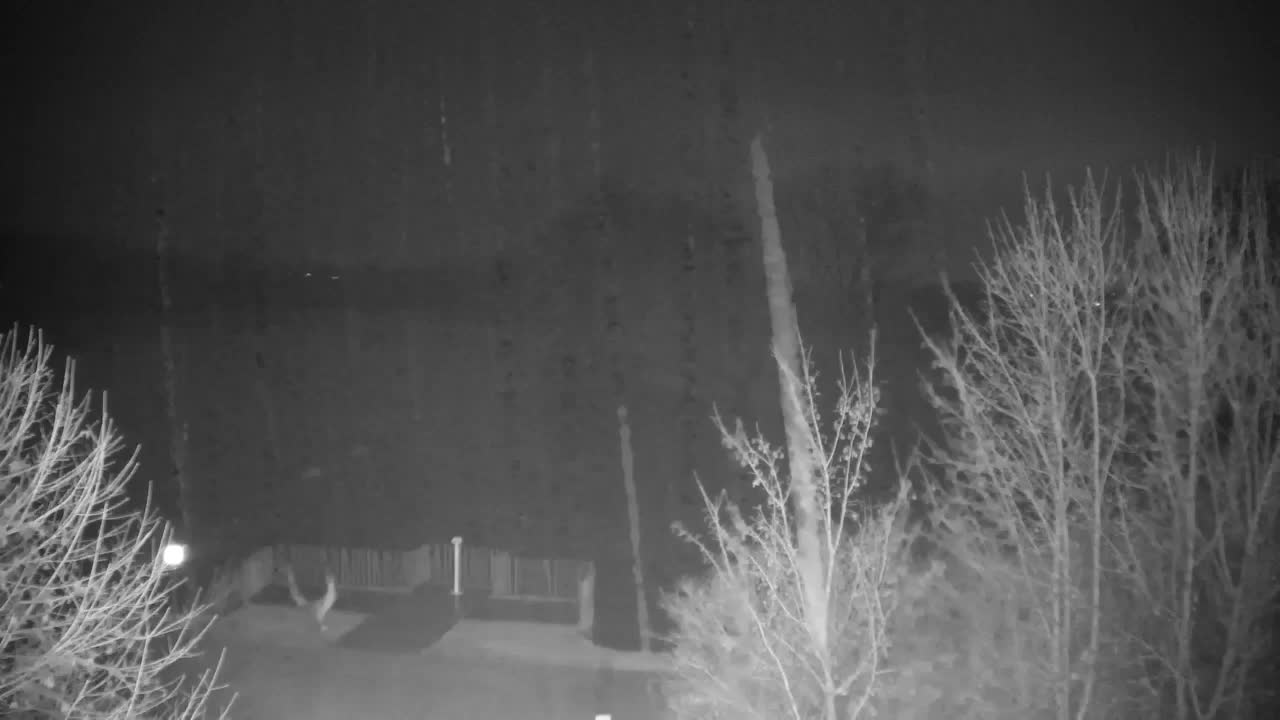 Webcam Ribnik Vrbje – Žalec