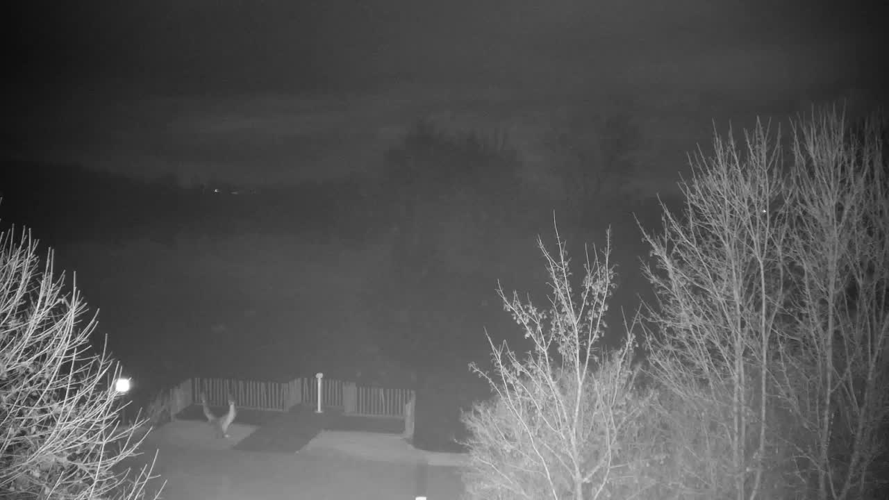 Webcam Ribnik Vrbje – Žalec