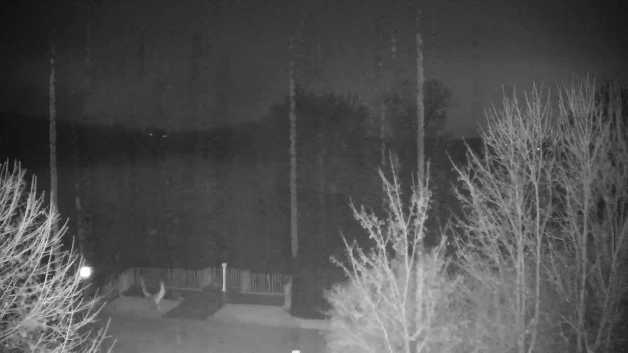 Webcam Ribnik Vrbje – Žalec