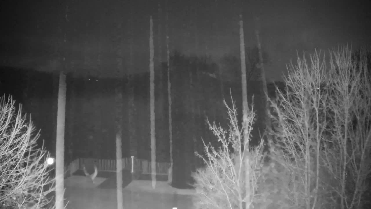 Webcam Ribnik Vrbje – Žalec