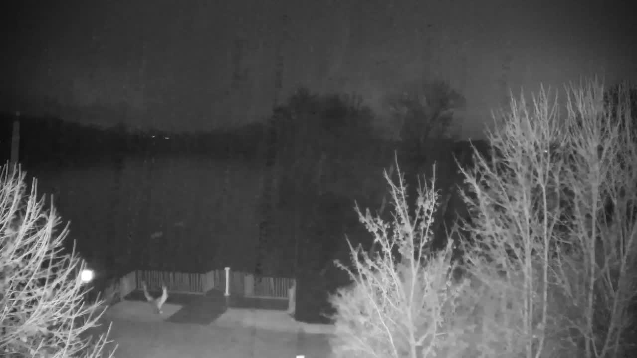 Webcam Ribnik Vrbje – Žalec