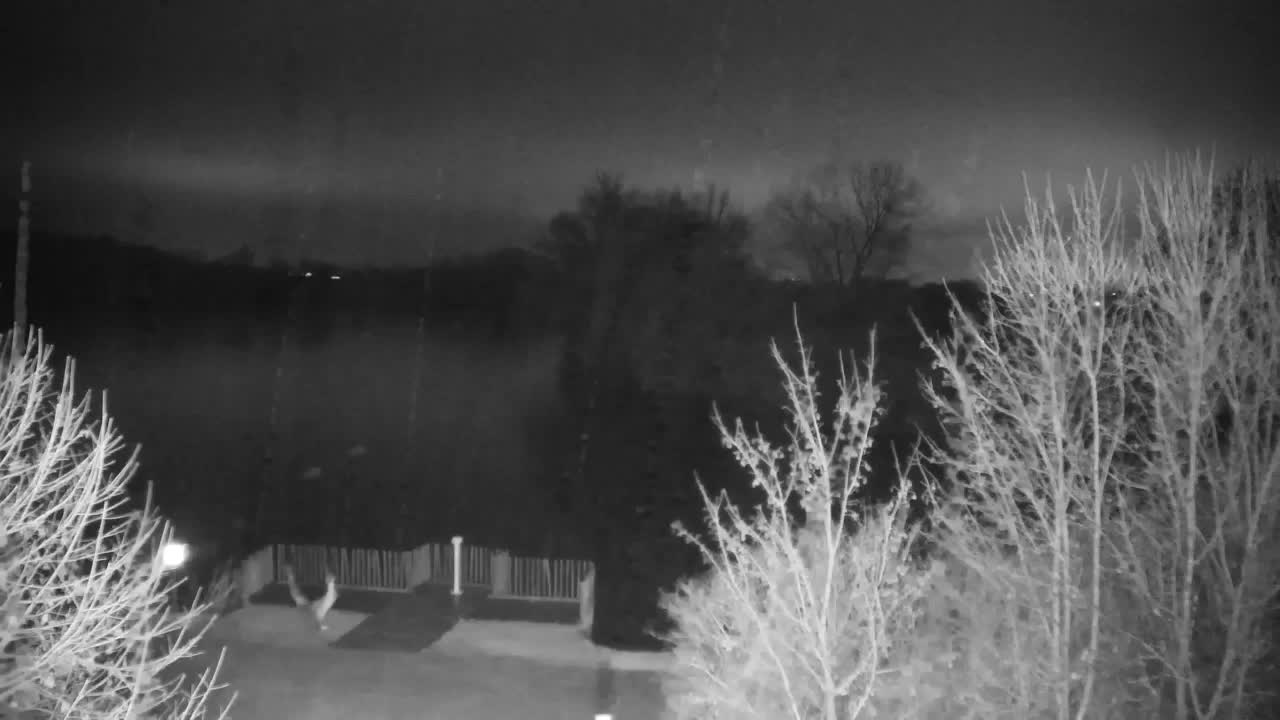 Webcam Ribnik Vrbje – Žalec