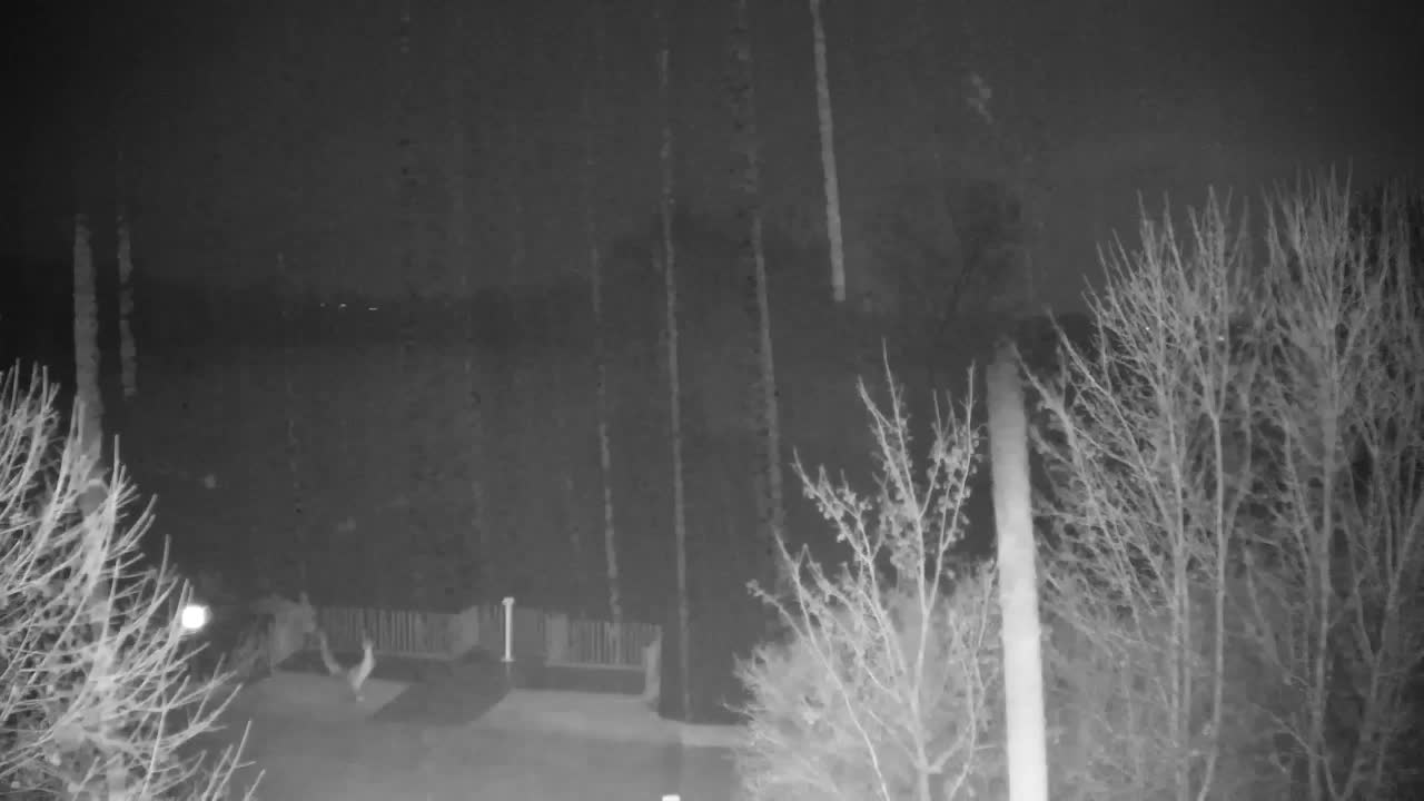 Webcam Ribnik Vrbje – Žalec