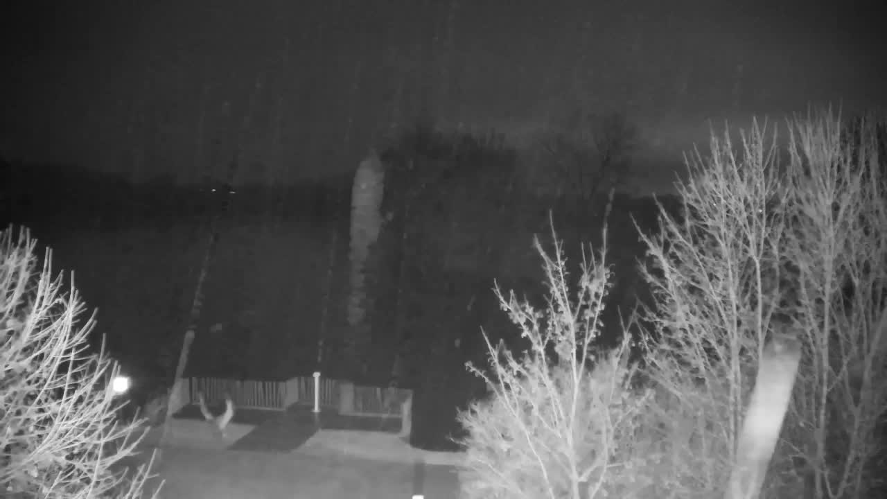 Webcam Ribnik Vrbje – Žalec