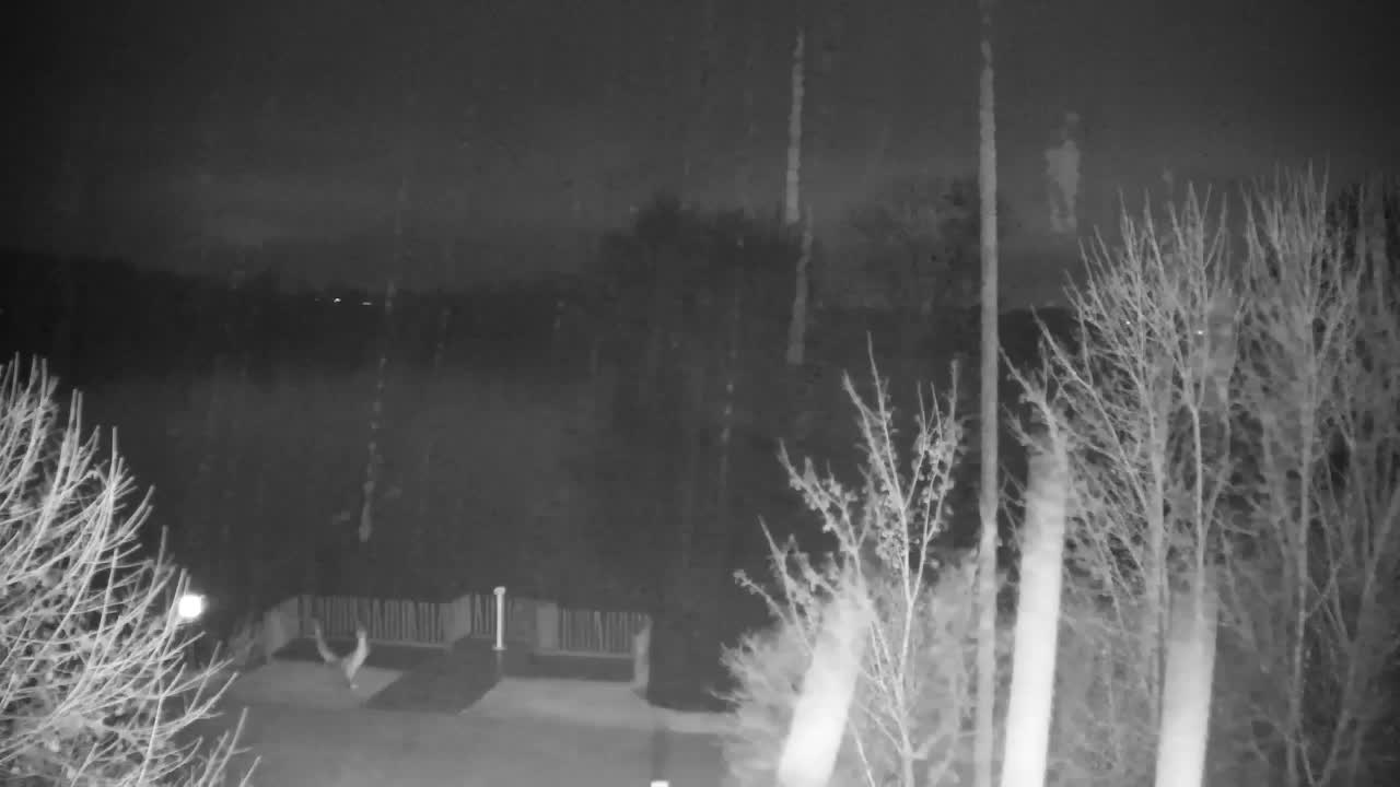 Webcam Ribnik Vrbje – Žalec