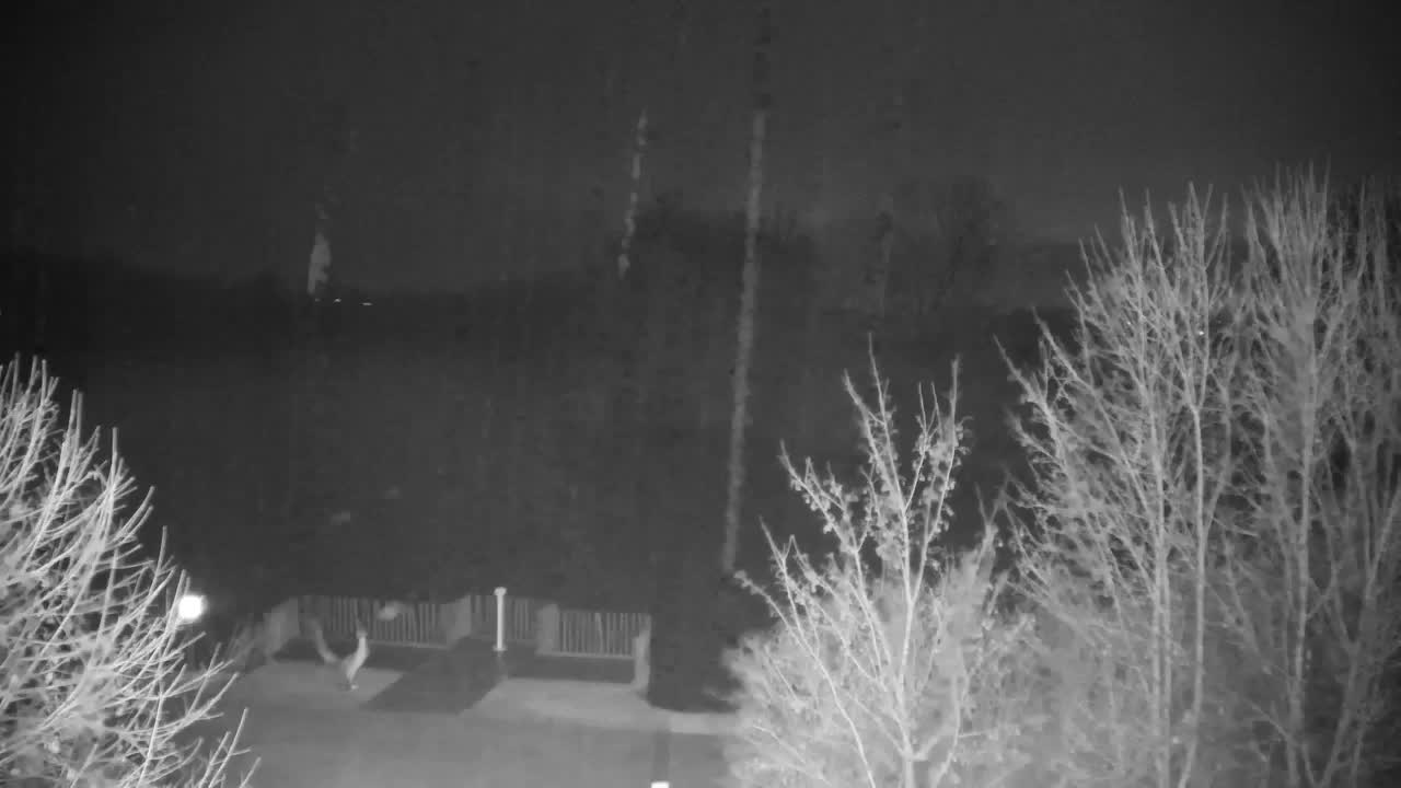 Webcam Ribnik Vrbje – Žalec