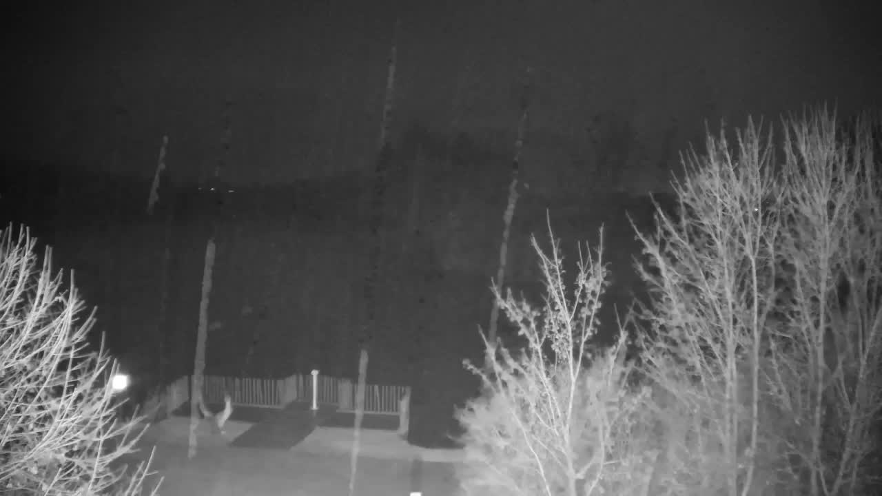 Webcam Ribnik Vrbje – Žalec