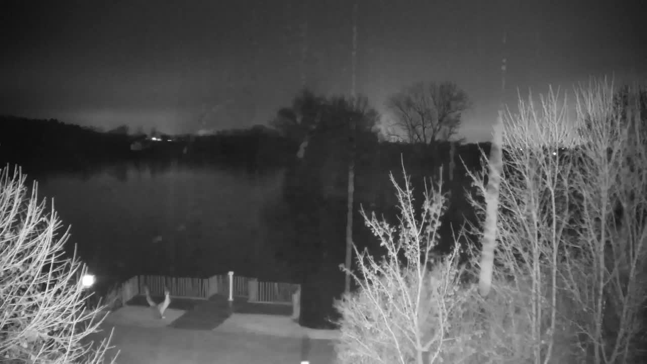 Web kamera Ribnik Vrbje – Žalec