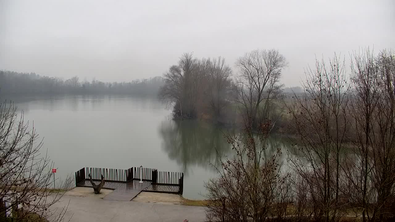 Webcam Ribnik Vrbje – Žalec