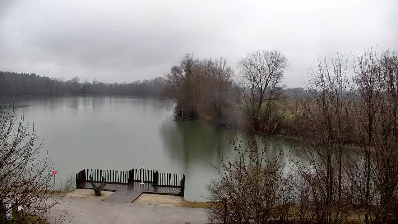 Webcam Ribnik Vrbje – Žalec