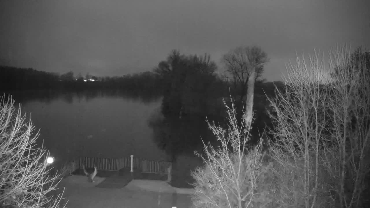 Webcam Ribnik Vrbje – Žalec