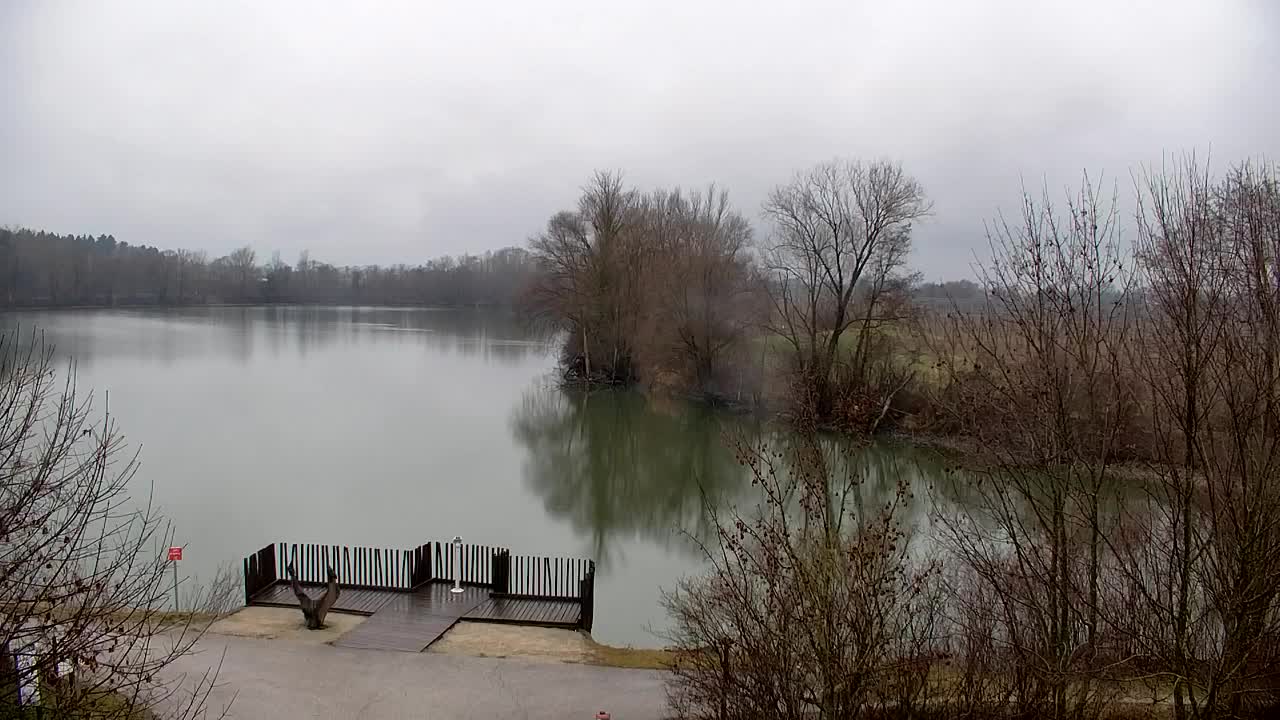 Webcam Ribnik Vrbje – Žalec