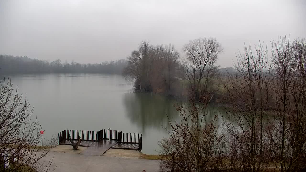 Webcam Ribnik Vrbje – Žalec