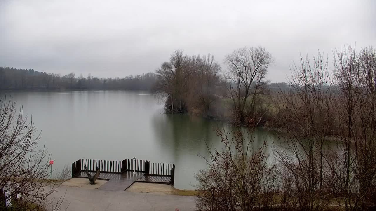 Webcam Ribnik Vrbje – Žalec