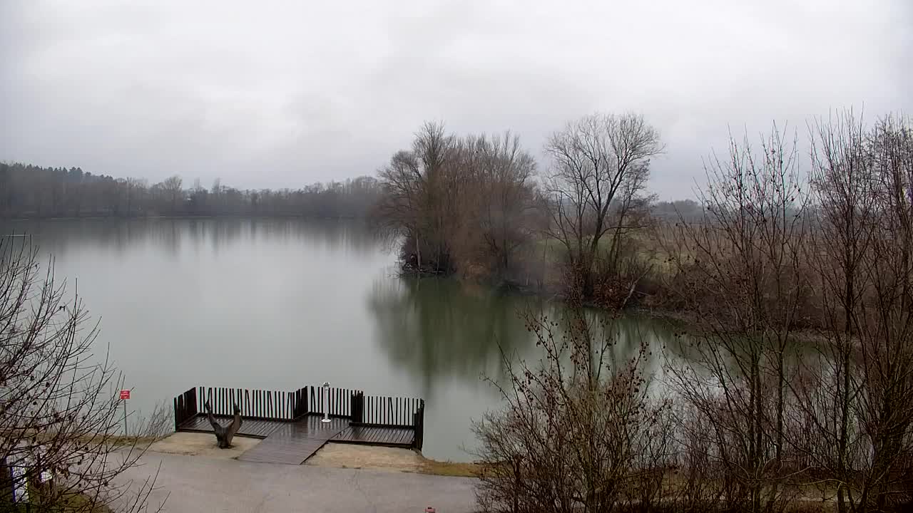 Webcam Ribnik Vrbje – Žalec