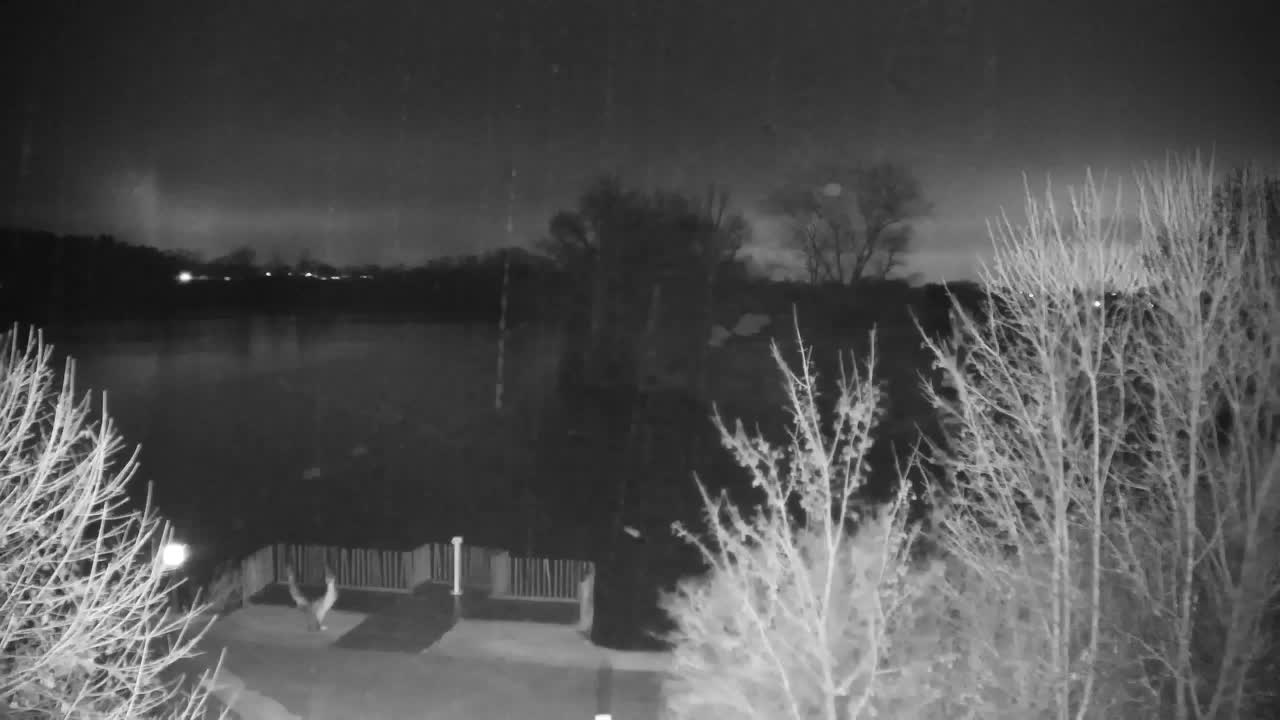 Webcam Ribnik Vrbje – Žalec