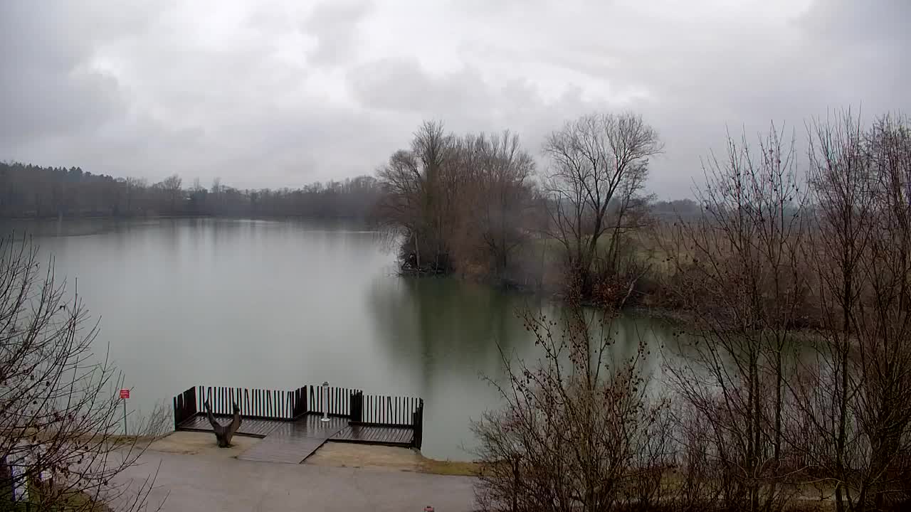 Webcam Ribnik Vrbje – Žalec