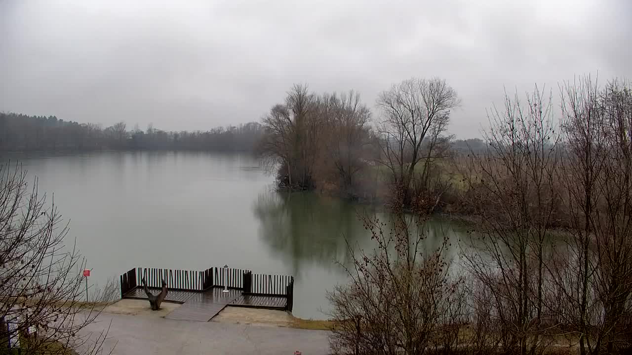 Webcam Ribnik Vrbje – Žalec