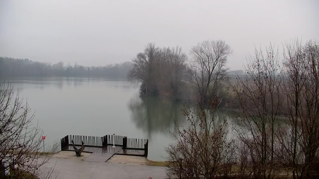 Webcam Ribnik Vrbje – Žalec