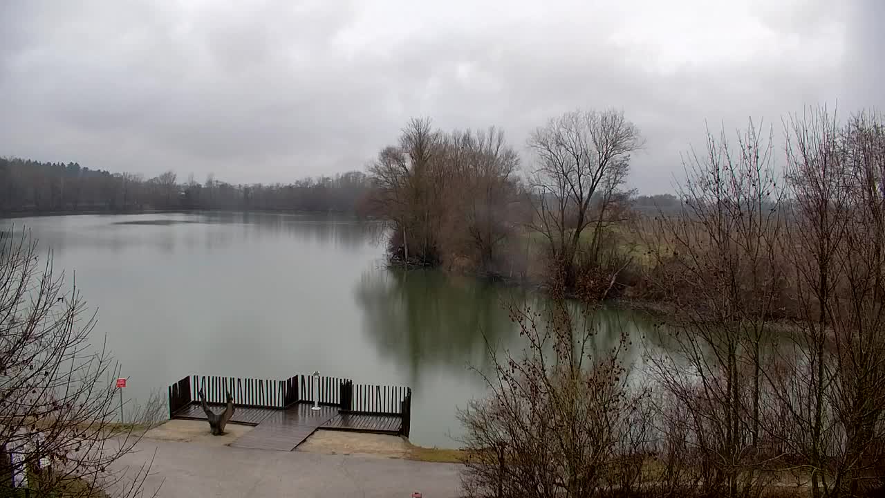 Webcam Ribnik Vrbje – Žalec