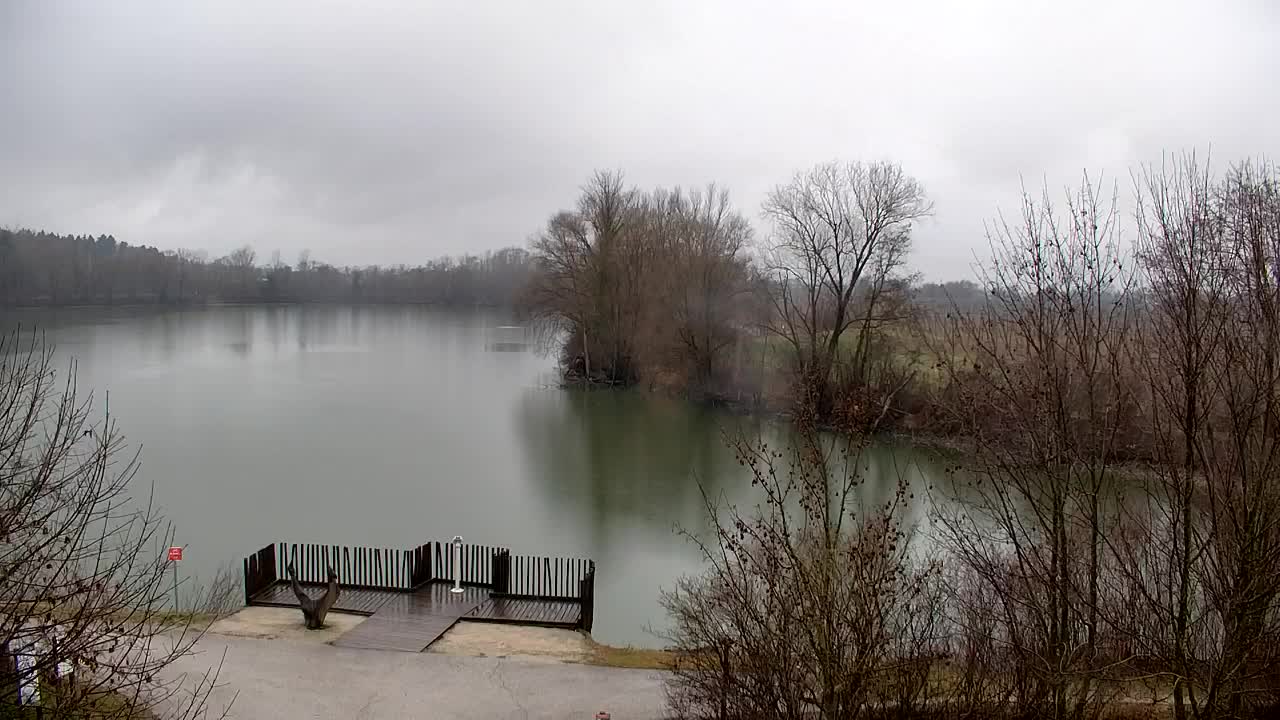 Webcam Ribnik Vrbje – Žalec