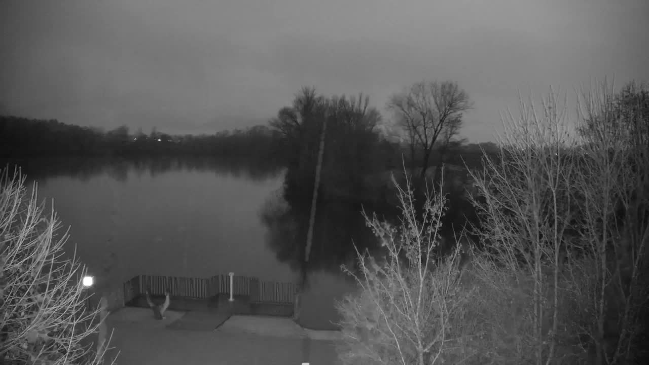 Webcam Ribnik Vrbje – Žalec