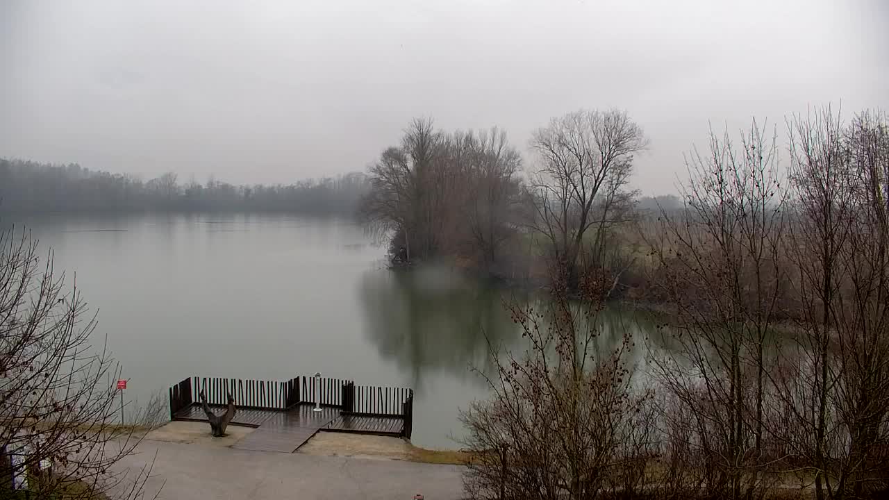 Webcam Ribnik Vrbje – Žalec