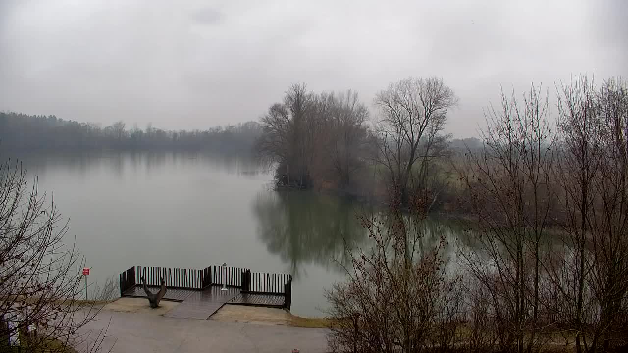 Webcam Ribnik Vrbje – Žalec