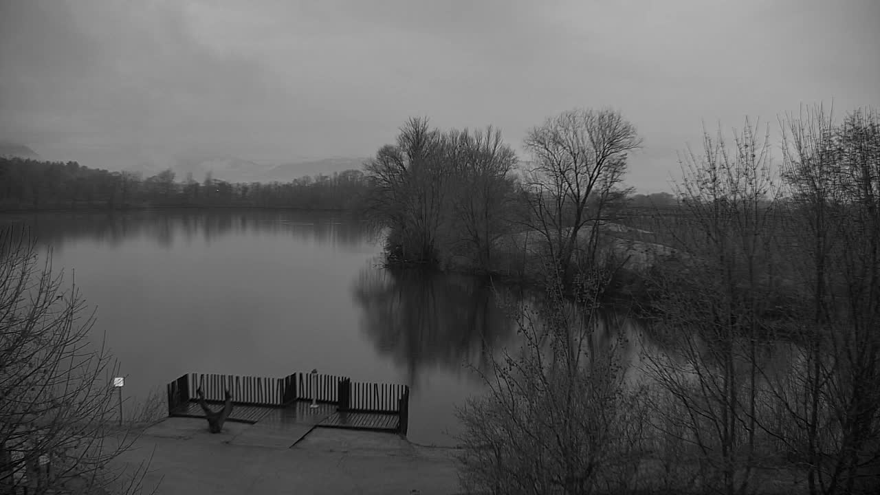 Webcam Ribnik Vrbje – Žalec