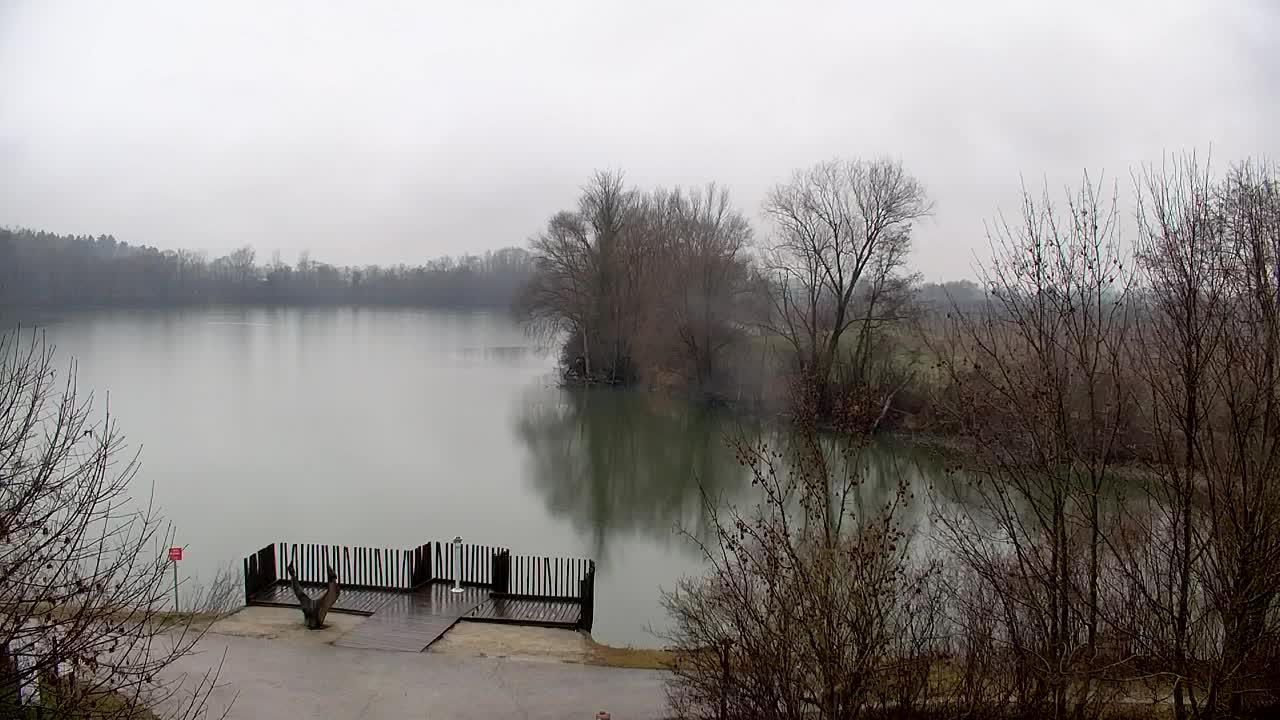 Spletna kamera Ribnik Vrbje – Žalec