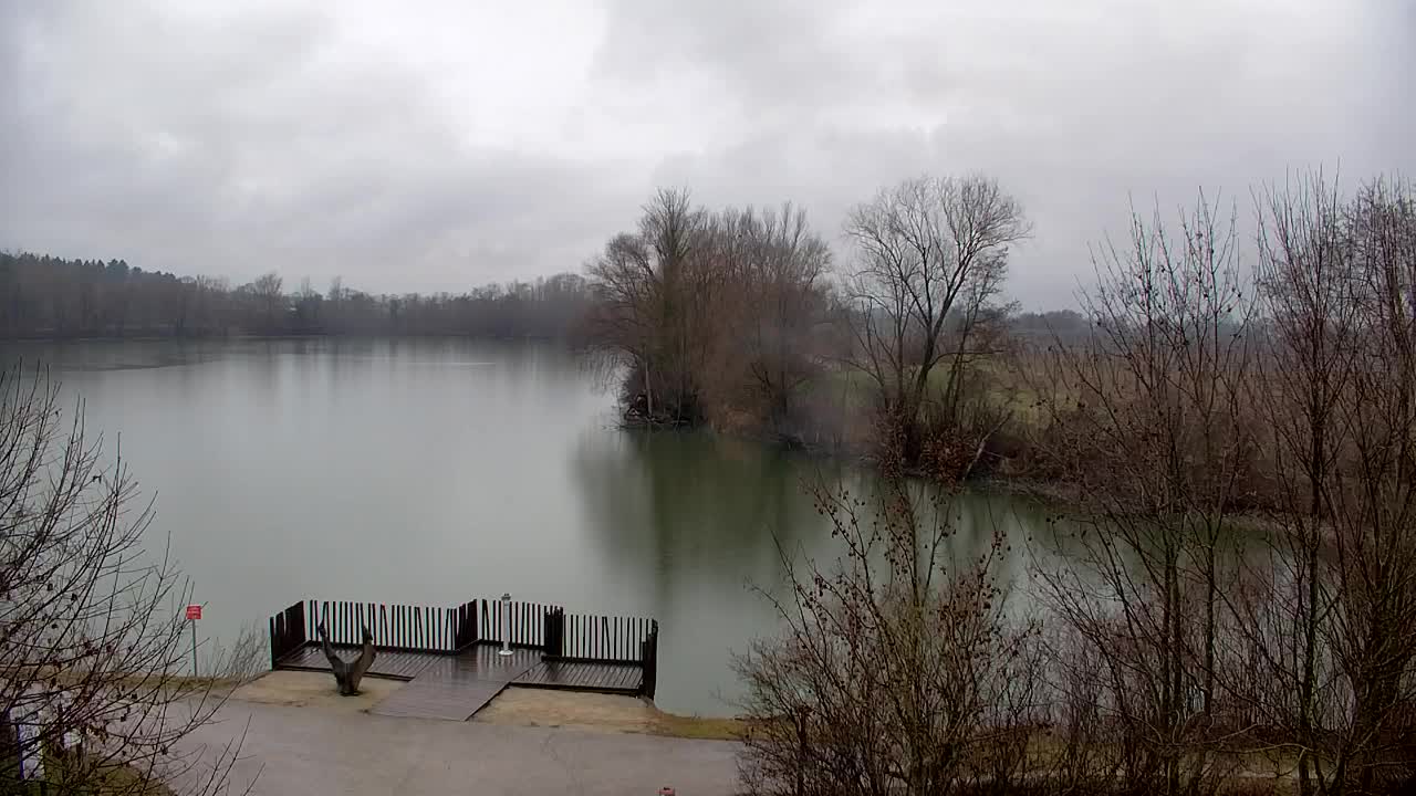 Webcam Ribnik Vrbje – Žalec