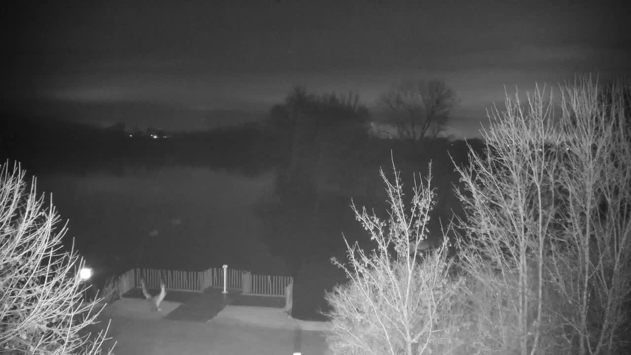 Webcam Ribnik Vrbje – Žalec