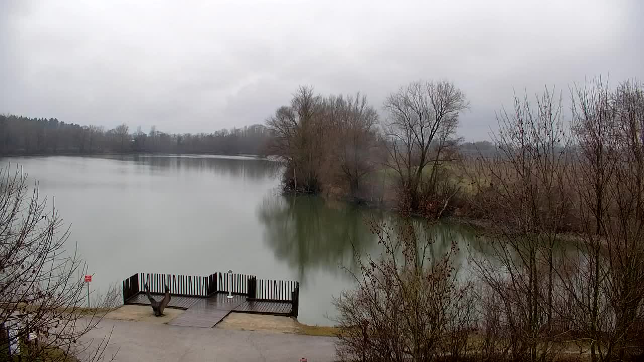 Webcam Ribnik Vrbje – Žalec