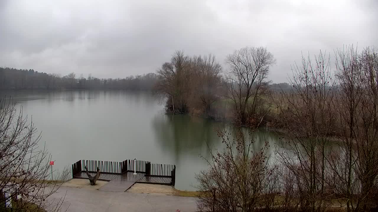 Webcam Ribnik Vrbje – Žalec