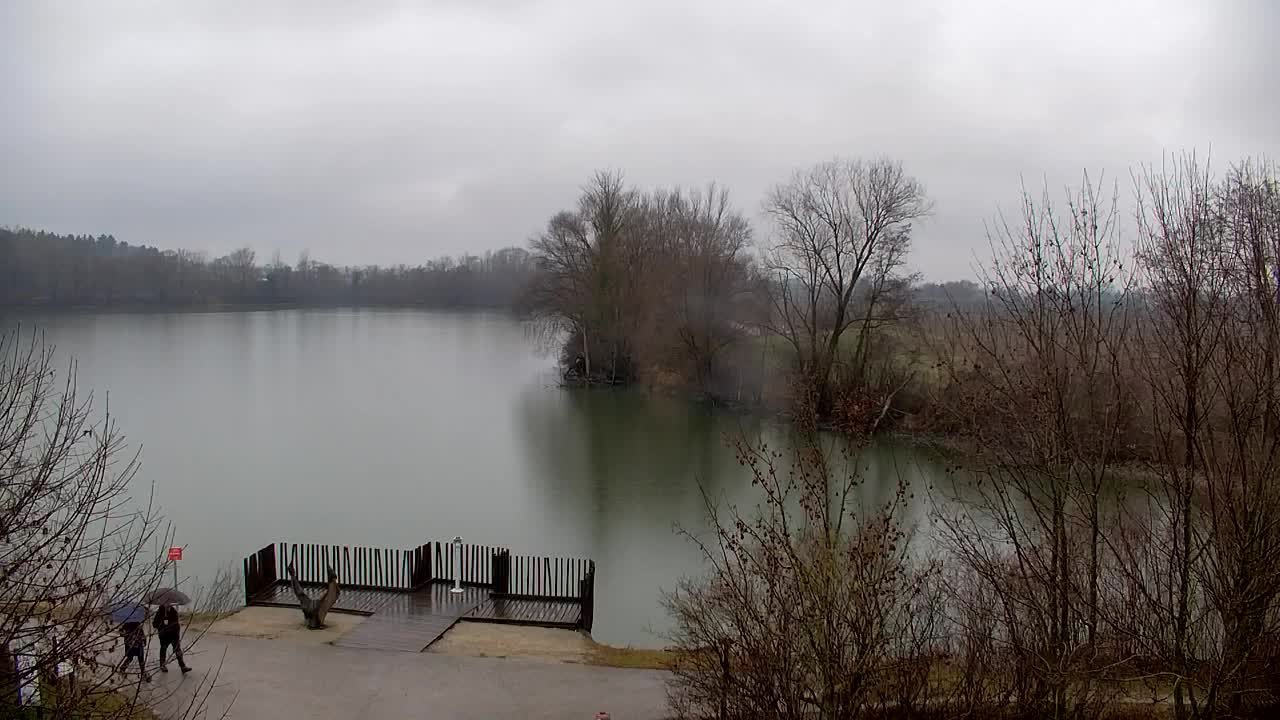 Webcam Ribnik Vrbje – Žalec