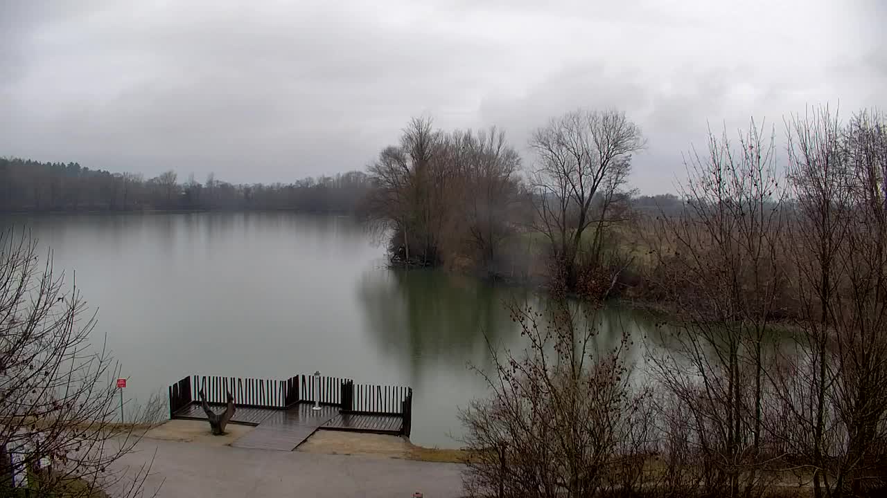 Webcam Ribnik Vrbje – Žalec