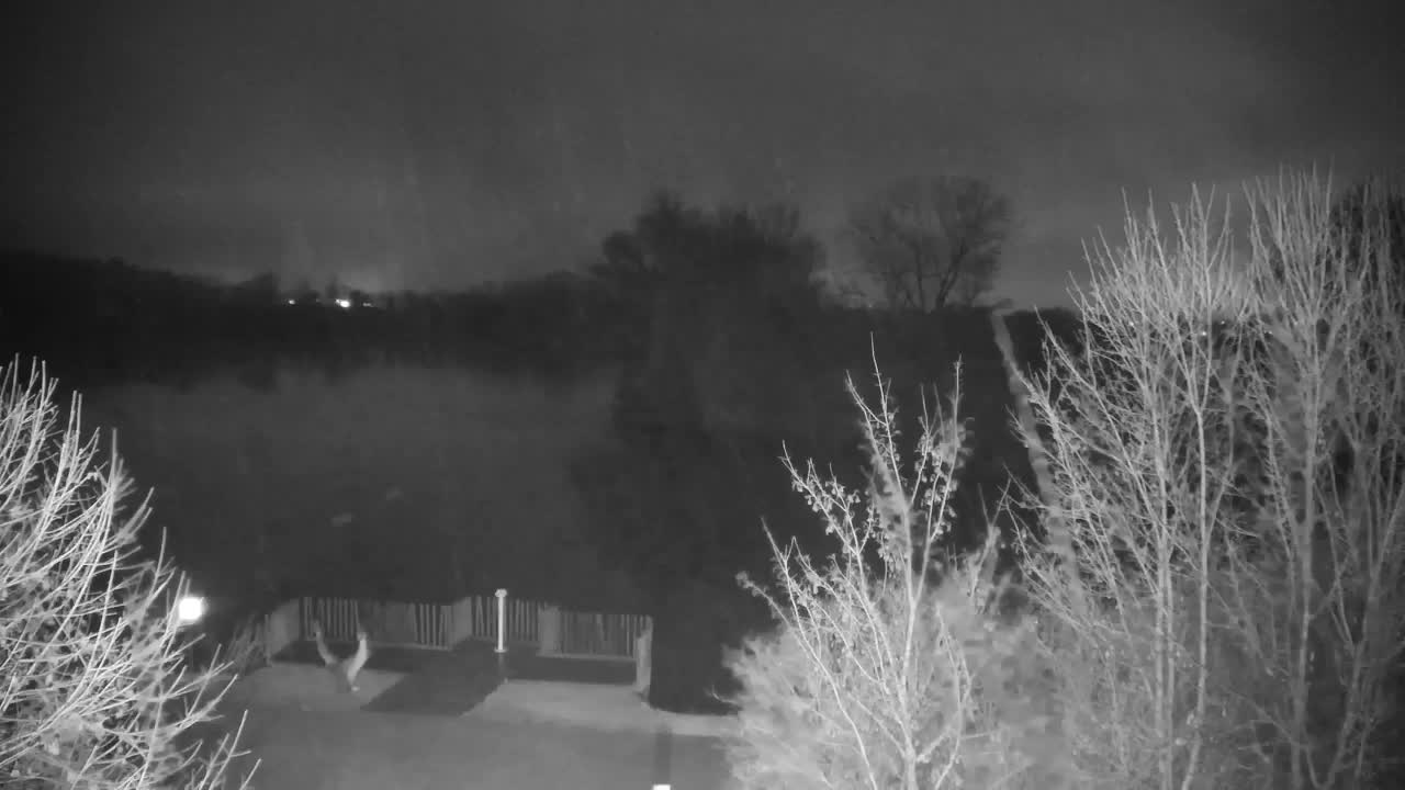 Webcam Ribnik Vrbje – Žalec