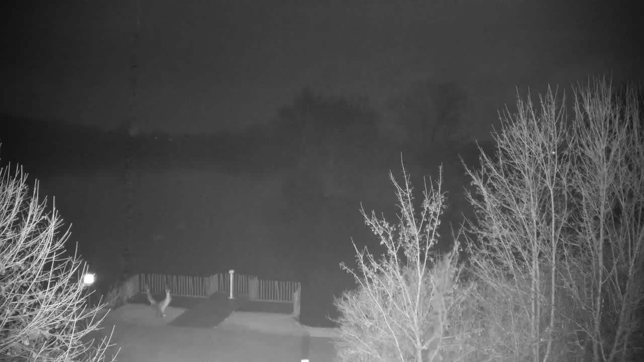 Webcam Ribnik Vrbje – Žalec