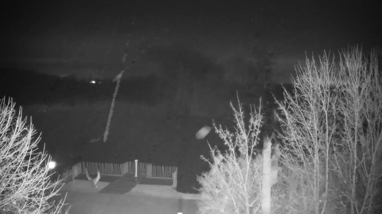 Webcam Ribnik Vrbje – Žalec