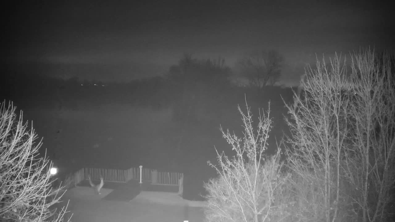 Webcam Ribnik Vrbje – Žalec