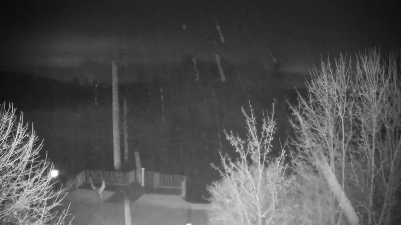 Webcam Ribnik Vrbje – Žalec